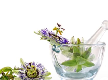 Approche fonctionnelle en naturopathie